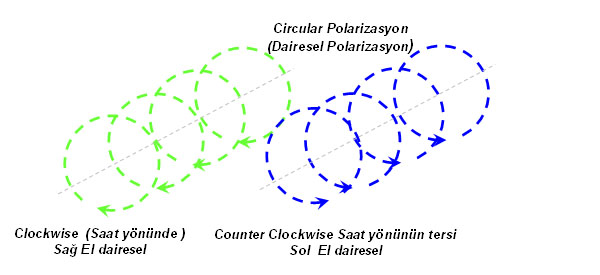 Circular polarizasyon